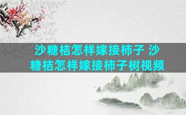 沙糖桔怎样嫁接柿子 沙糖桔怎样嫁接柿子树视频